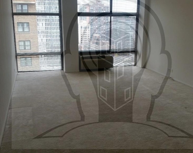 65 E Scott  Chicago, Il. 60610 - Photo Thumbnail 5