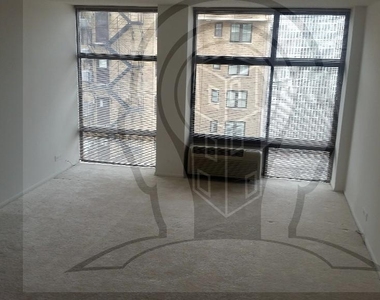 65 E Scott  Chicago, Il. 60610 - Photo Thumbnail 11