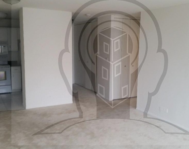 65 E Scott  Chicago, Il. 60610 - Photo Thumbnail 12