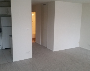 65 E Scott  Chicago, Il. 60610 - Photo Thumbnail 9