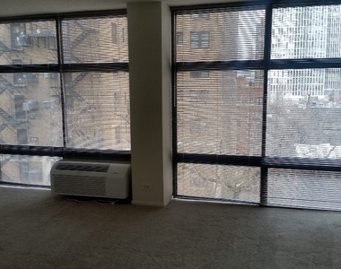 65 E Scott  Chicago, Il. 60610 - Photo Thumbnail 6