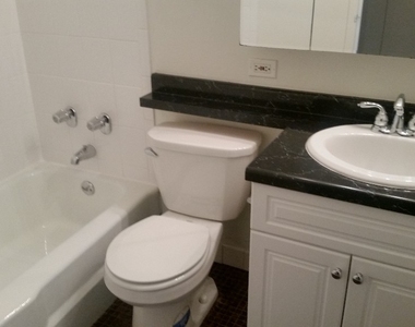 65 E Scott  Chicago, Il. 60610 - Photo Thumbnail 2