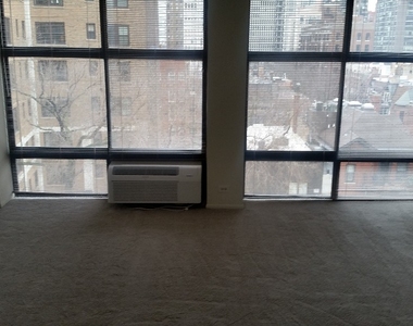 65 E Scott  Chicago, Il. 60610 - Photo Thumbnail 12