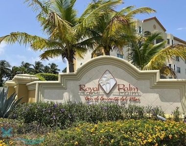 C Royal Palm - Photo Thumbnail 68