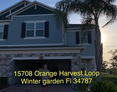 15708 Orange Harvest Loop - Photo Thumbnail 0