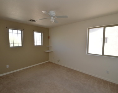 113 W Camino Rancho Viejo - Photo Thumbnail 10