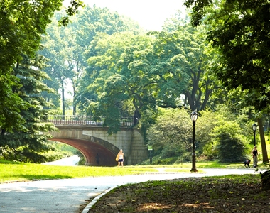 348 West 118th Street - Photo Thumbnail 14