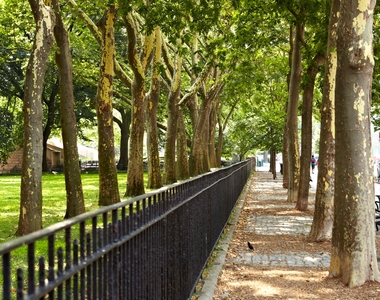 348 West 118th Street - Photo Thumbnail 8