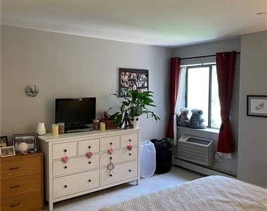 21 Lake Street - Photo Thumbnail 14