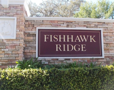 15768 Fishhawk Falls Drive - Photo Thumbnail 10