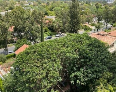 10747 Wilshire Blvd - Photo Thumbnail 9