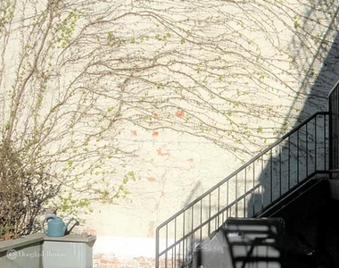 316 De Graw St - Photo Thumbnail 13