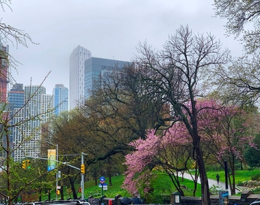 Cumberland Street at Fort Greene Park - Photo Thumbnail 13