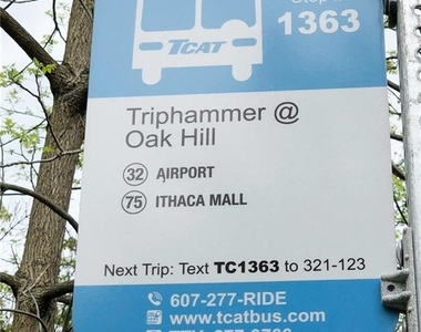419 Triphammer Road - Photo Thumbnail 3
