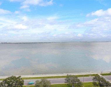 4141 Bayshore Boulevard - Photo Thumbnail 42