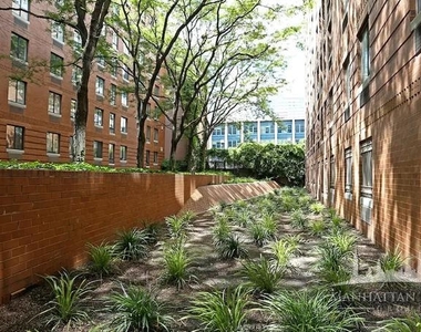 West 53rd Street - Photo Thumbnail 4