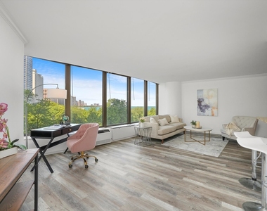 505 N Lake Shore Drive - Photo Thumbnail 1