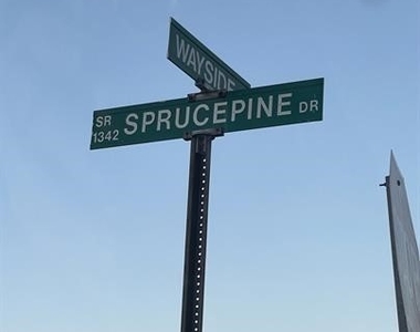 212 Sprucepine Drive - Photo Thumbnail 4