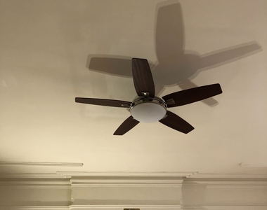374 Clinton Avenue - Photo Thumbnail 2