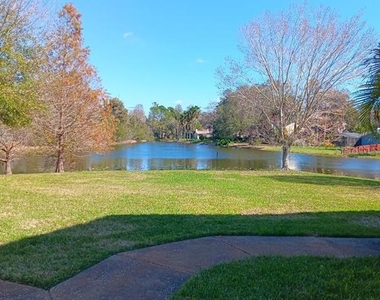 16509 Lake Brigadoon Circle - Photo Thumbnail 18