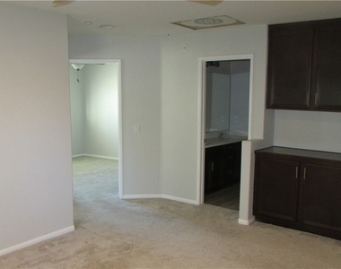 40022 Spring Place Court - Photo Thumbnail 24