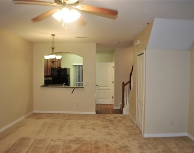 15922 Fishhawk View Drive - Photo Thumbnail 3