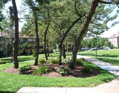 2 Elmwood Pk Drive - Photo Thumbnail 16