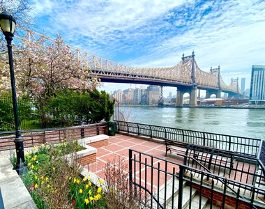 340 East 58th Street - Photo Thumbnail 11