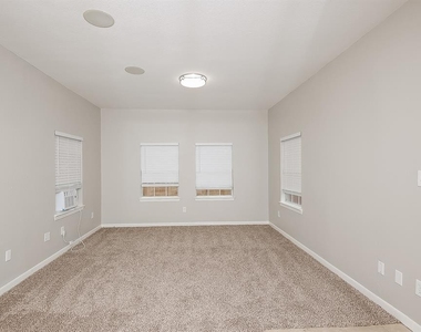 1411 Springwood Drive - Photo Thumbnail 7