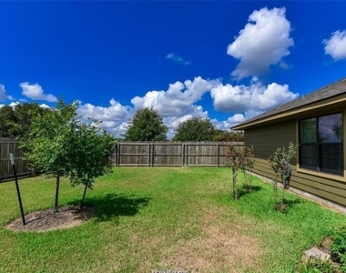 3905 Yegua Creek Court - Photo Thumbnail 7