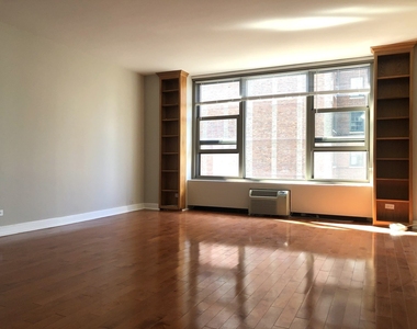 1550 N Lake Shore Drive - Photo Thumbnail 4