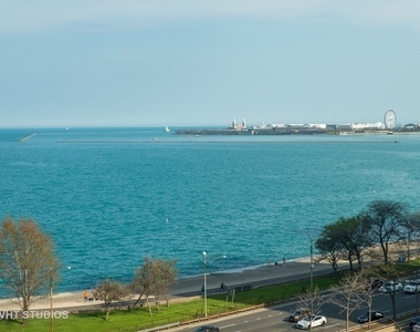 1550 N Lake Shore Drive - Photo Thumbnail 15