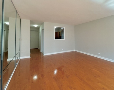 1550 N Lake Shore Drive - Photo Thumbnail 6