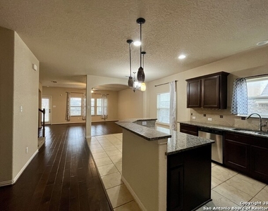 6527 Diego Ln - Photo Thumbnail 4