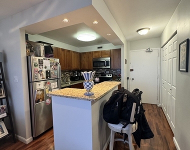 1460 N Sandburg Terrace - Photo Thumbnail 6