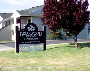 Briarwood Commons 1001 S. Chestnut St - Photo Thumbnail 41