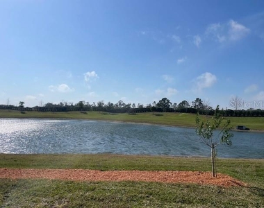 24281 Spartina Drive - Photo Thumbnail 10