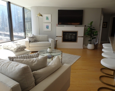 505 N Lake Shore Drive - Photo Thumbnail 6