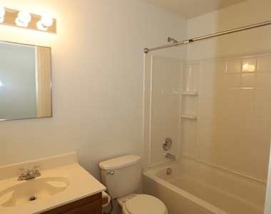 1704 Silverwood Lane - Photo Thumbnail 8