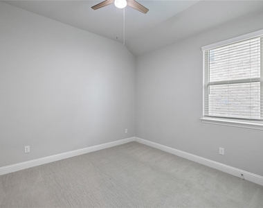 2371 Canary Grass - Photo Thumbnail 5