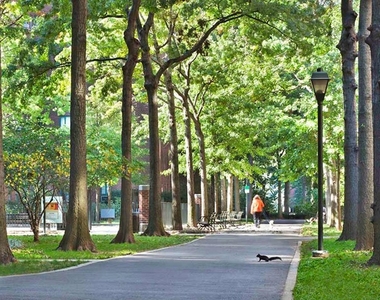 Avenue C - StuyTown - Midtown Manhattan - Photo Thumbnail 16