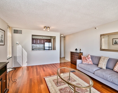 3660 N Lake Shore Drive - Photo Thumbnail 12