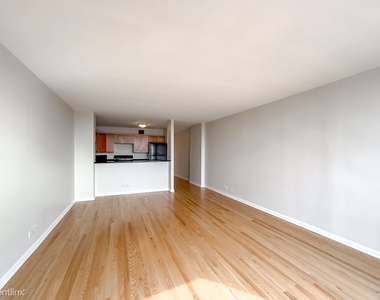 1636 N. Wells, Unit A4003 - Photo Thumbnail 15