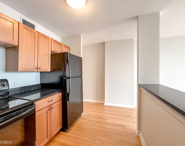 1636 N. Wells, Unit A4003 - Photo Thumbnail 3