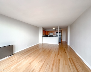 1636 N. Wells, Unit A4003 - Photo Thumbnail 16