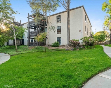 7742 Redlands Street - Photo Thumbnail 35