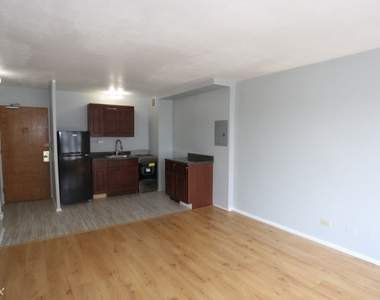 7333 N. Ridge, Unit C205 - Photo Thumbnail 8