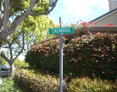 9 Calvados - Photo Thumbnail 3