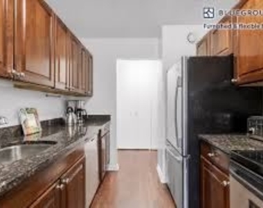 1133 N. Dearborn 1406 - Photo Thumbnail 3