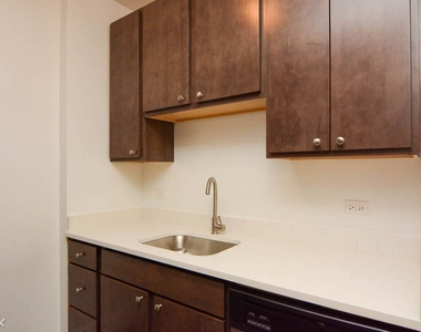 2936 W. Palmer, Unit A502 - Photo Thumbnail 2